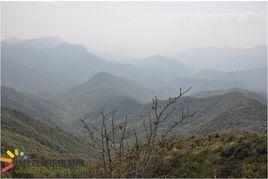 剝蝕平原 剝蝕平原