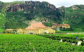 朗格斯葡萄酒莊 朗格斯葡萄酒莊