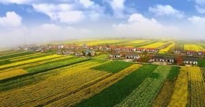 七星湖村 七星湖村