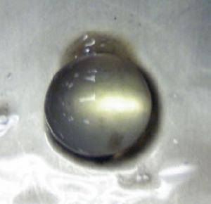 神奇的眼球水晶體