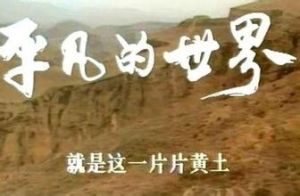 平凡的世界讀後感