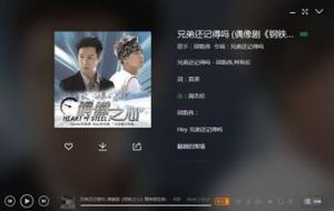 《兄弟還記得嗎》