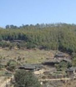 胖騰河村 胖騰河村