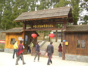 紅四軍醫院舊址