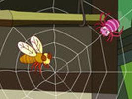 小蜘蛛織網 小蜘蛛織網