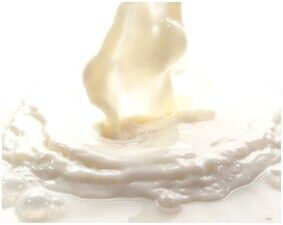 酵母護膚 酵母護膚