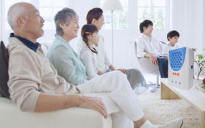 生態負離子生成晶片技術 生態負離子生成晶片技術