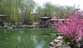 西寧植物園 西寧植物園