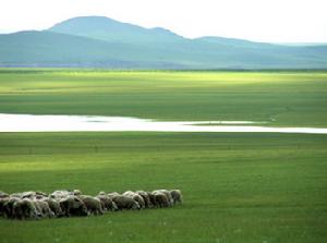 輝騰錫勒草原風景區 輝騰錫勒草原風景區