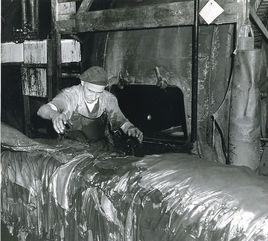 皮革染整基礎 皮革染整基礎