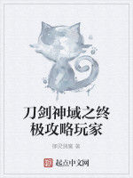 刀劍神域之終極攻略玩家 刀劍神域之終極攻略玩家