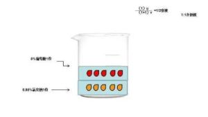 等張溶液 等張溶液
