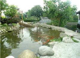 雙龍園度假村 雙龍園度假村