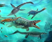 中生代海洋是海生爬行動物的天下