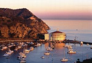 九頭蛇島 九頭蛇島