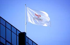 巴瑪諮詢集團 巴瑪諮詢集團