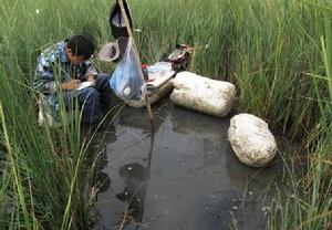 上海市崇明東灘自然保護區