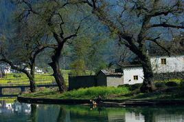 歸園田居[閆正偉的歌曲]