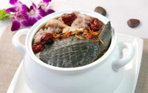 甲魚滋腎湯 甲魚滋腎湯