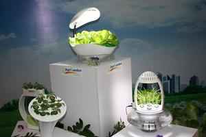 家庭版植物工廠