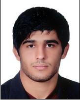 邁赫迪&middot;塔加維&middot;凱爾馬尼