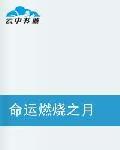 命運燃燒之月 命運燃燒之月