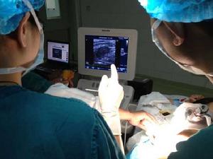 纖維結腸鏡檢查技術 纖維結腸鏡檢查技術