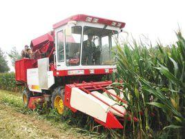 東方紅4LZ-2.5YA玉米籽粒收穫機 東方紅4LZ-2.5YA玉米籽粒收穫機