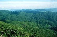 雷公山國家森林公園