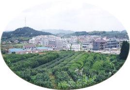 磐安工業園區 磐安工業園區