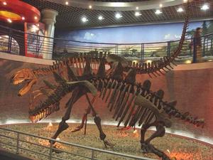 北京自然博物館