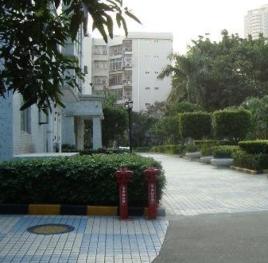 圩鎮社區[廣東東莞市樟木頭鎮下轄社區]