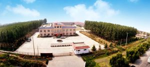 山東北鈦河陶瓷有限公司