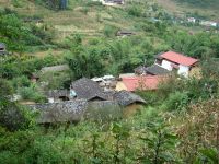 鳳雞寨二自然村 鳳雞寨二自然村