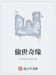 偷世奇緣 偷世奇緣