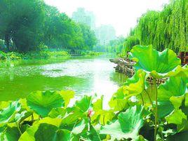 北京太平湖 北京太平湖