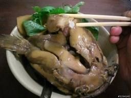 當歸土虱 當歸土虱