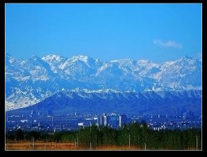 新疆奎屯 新疆奎屯