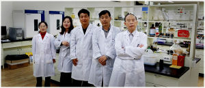 安徽錦韓商貿研發團隊司