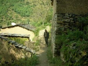 陷塘自然村 陷塘自然村