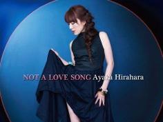 《Not A Love Song》
