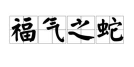 福氣之蛇 福氣之蛇