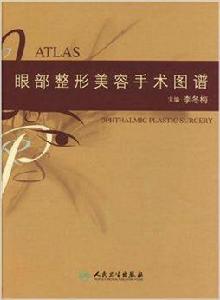 眼整形美容手術 眼整形美容手術