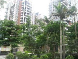 悅城花園二期 悅城花園二期