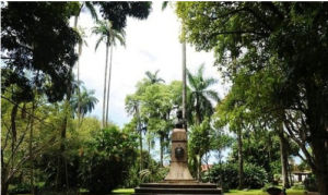 巴西里約植物園