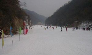 甘山森林滑雪場 甘山森林滑雪場