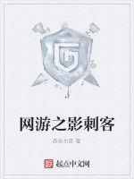 網遊之影刺客 網遊之影刺客
