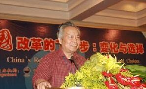 中國改革的下一步：變化與選擇”國際研討會