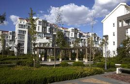 海信·天鵝湖 海信·天鵝湖