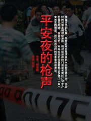 平安夜槍聲 平安夜槍聲